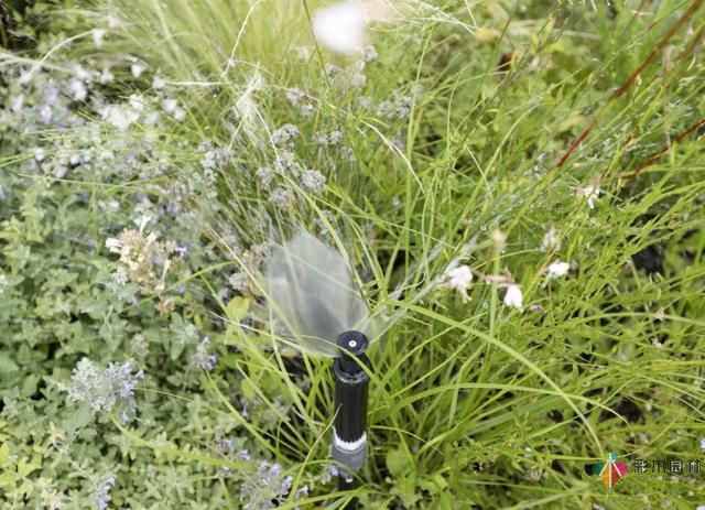 彩木園林教你如何屋頂花園/露臺(tái)花園