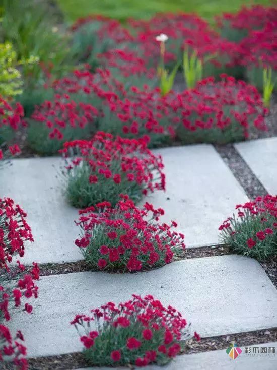 花園設(shè)計(jì)改造,手把手教你打造最美花園