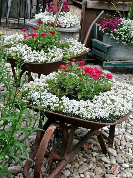 花園設(shè)計(jì)改造,手把手教你打造最美花園