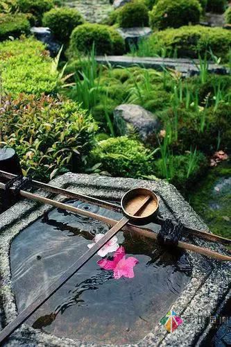 花園設(shè)計(jì)改造,手把手教你打造最美花園