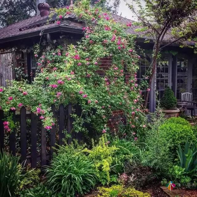 別讓花園空著，彩木園林給您打造一個花園式庭院