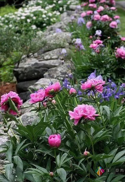 這樣子的庭院花園施工維護(hù),花鏡美的不要不要的!
