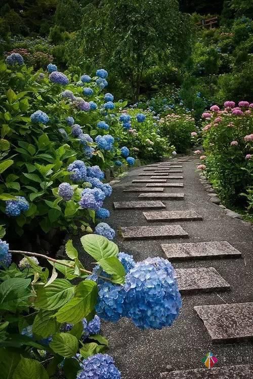 這樣子的庭院花園施工維護(hù),花鏡美的不要不要的!