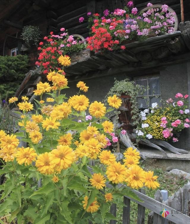 這樣子的庭院花園施工維護(hù),花鏡美的不要不要的!