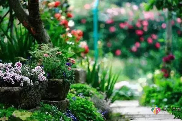 這樣子的庭院花園施工維護(hù),花鏡美的不要不要的!