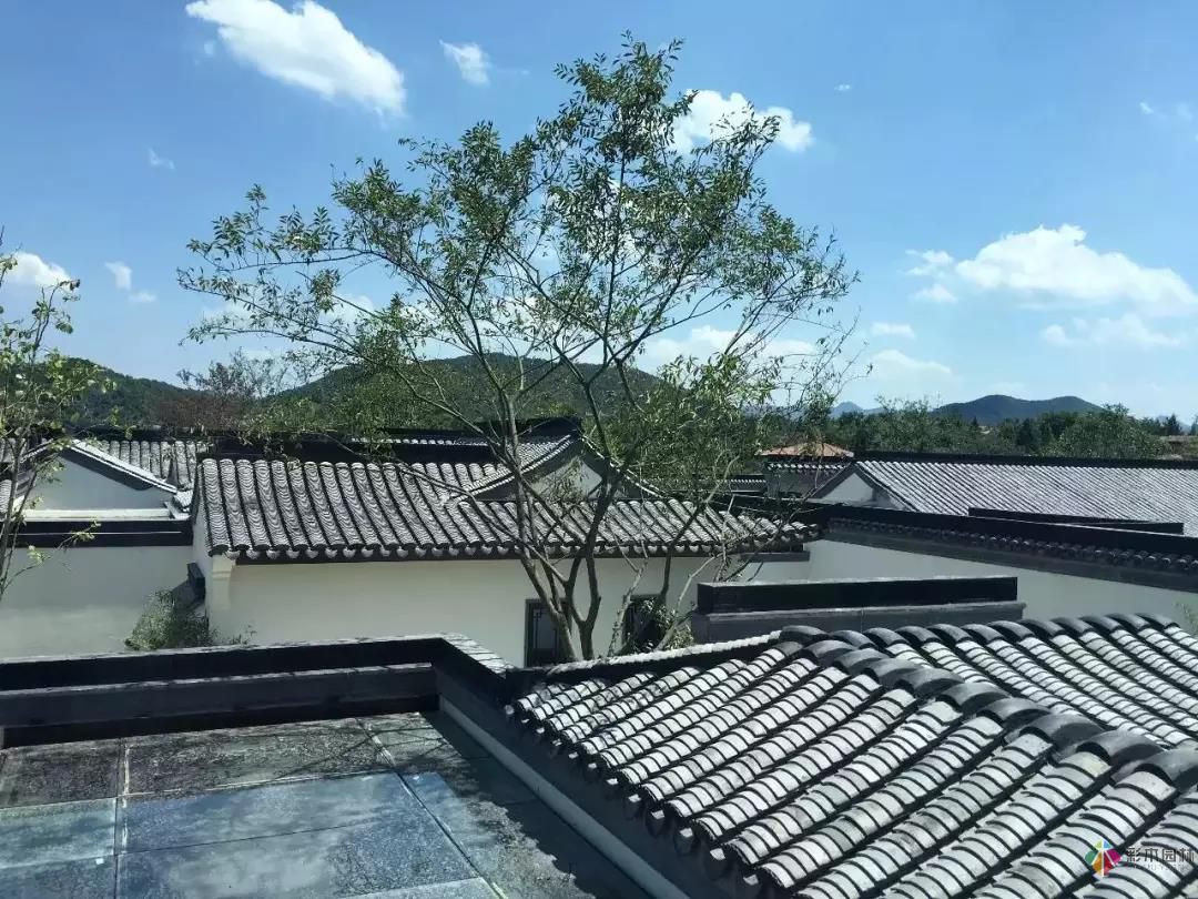 最具有靈魂的中式庭院設計！