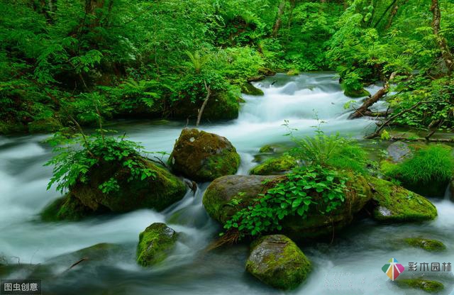 庭院設(shè)計(jì)這17個(gè)必不可少的要素