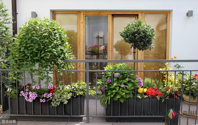 庭院設(shè)計(jì)這17個(gè)必不可少的要素