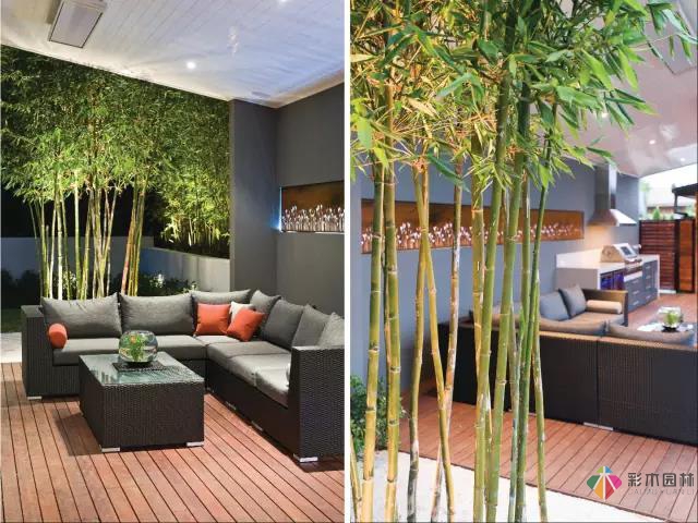 10個現代庭院景觀設計方案值得借鑒一下