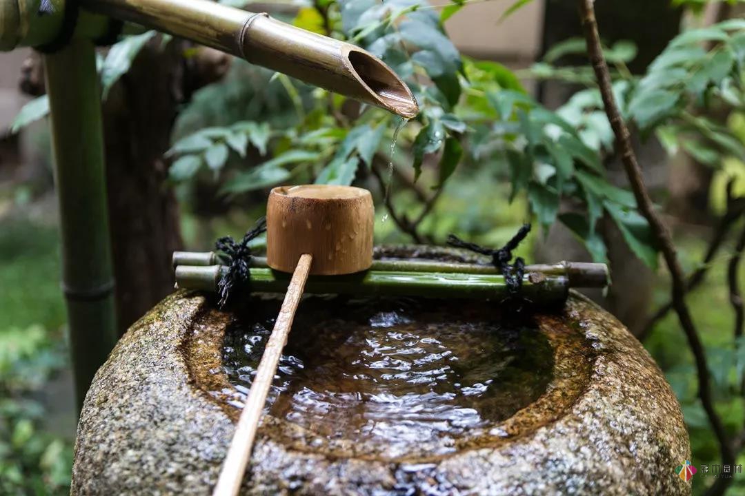 花園水景設計和養護要點基本的都在這里了!