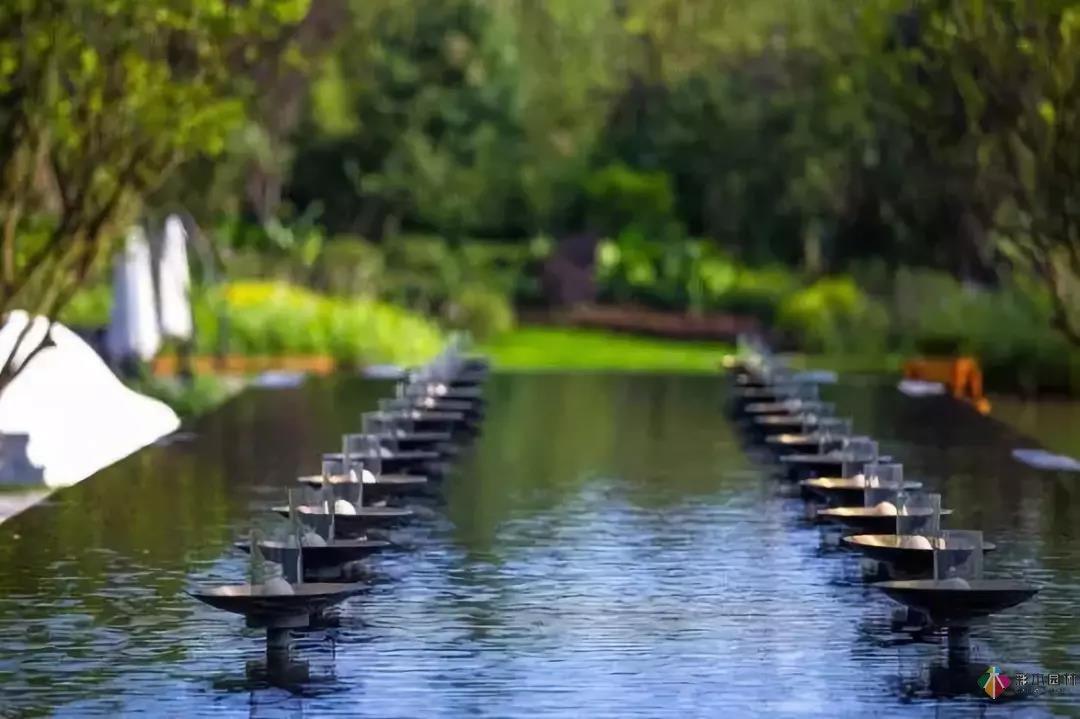 花園水景設計和養護要點基本的都在這里了!