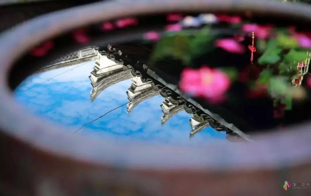 花園水景設計和養護要點基本的都在這里了!