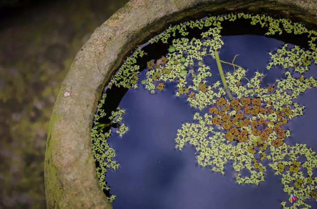 花園水景設計和養護要點基本的都在這里了!