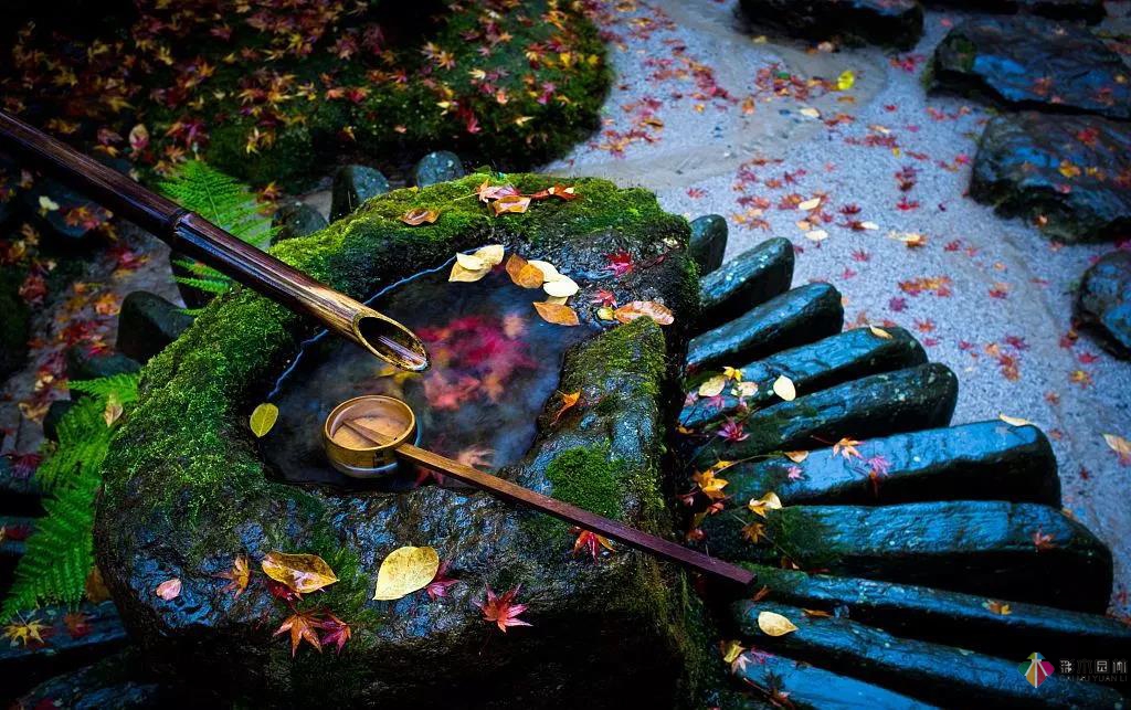 花園水景設計和養護要點基本的都在這里了!