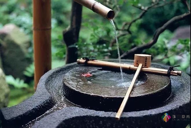 花園水景設計和養護要點基本的都在這里了!