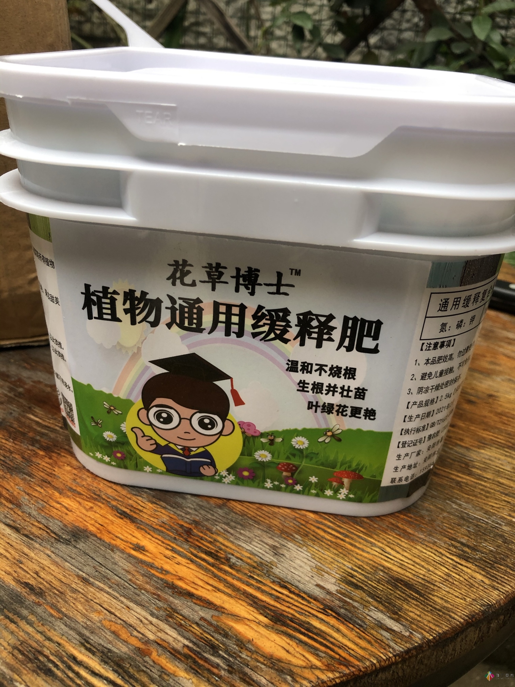 30㎡復式露臺，種花種草打造“sky 花園”，折騰了一年多，